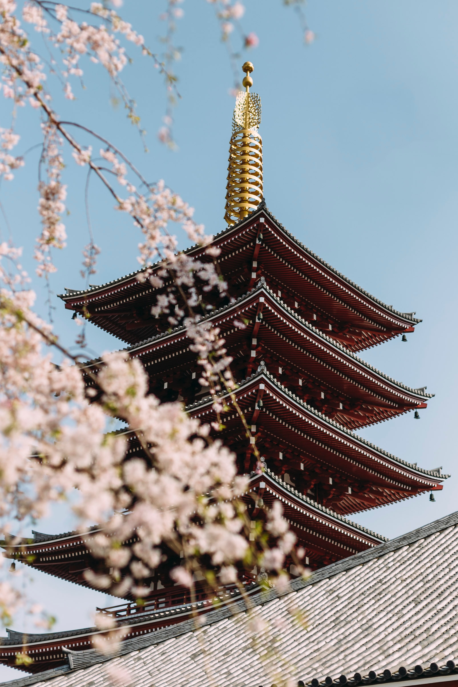 鎌倉殿
